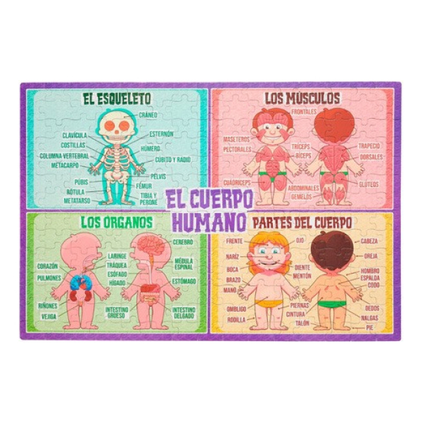 Rompecabezas Infantil 210piezas Cuerpo Humano Barco De Papel - Imagen 2