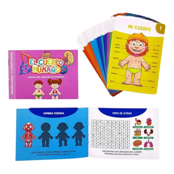 Cartas Didácticas El Cuerpo Humano - Barco De Papel - Imagen 2