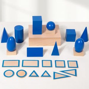 Formas Geométricas Set 3d Gran Calidad De Madera Educativo